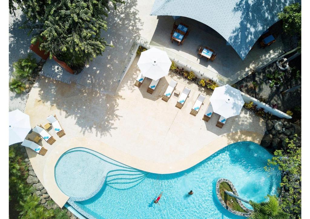 阿维拉纳海滩Mikado Natural Lodge的享有带椅子和遮阳伞的游泳池的上方景色