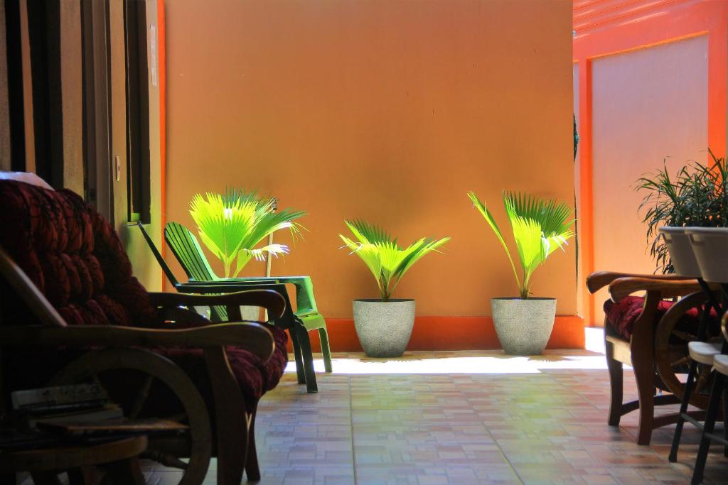 奎波斯城Apartamentos Mansión Tropical的橙色墙壁上摆放着椅子和盆栽的植物的房间