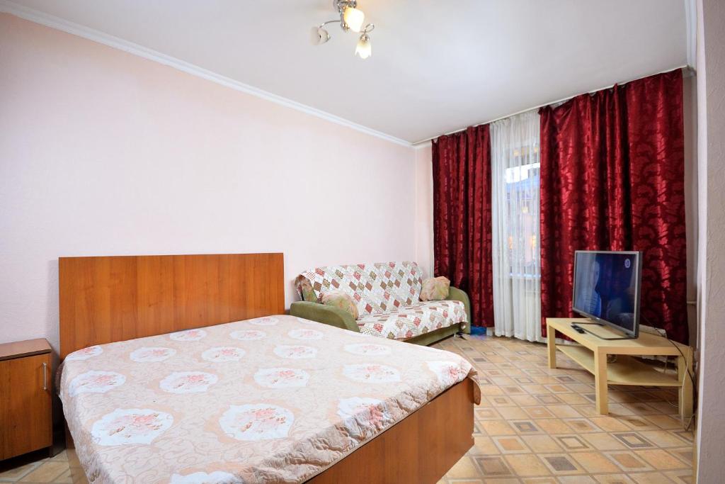鄂木斯克Omsk Sutki Apartments at Pushkina 99 floor 4的一间卧室配有一张床、一张沙发和一台电视