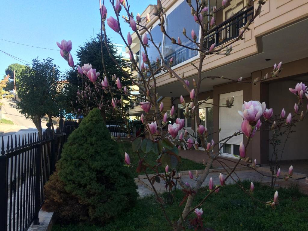 亚历山德鲁波利斯Summertimes的房子前有粉红色花的树