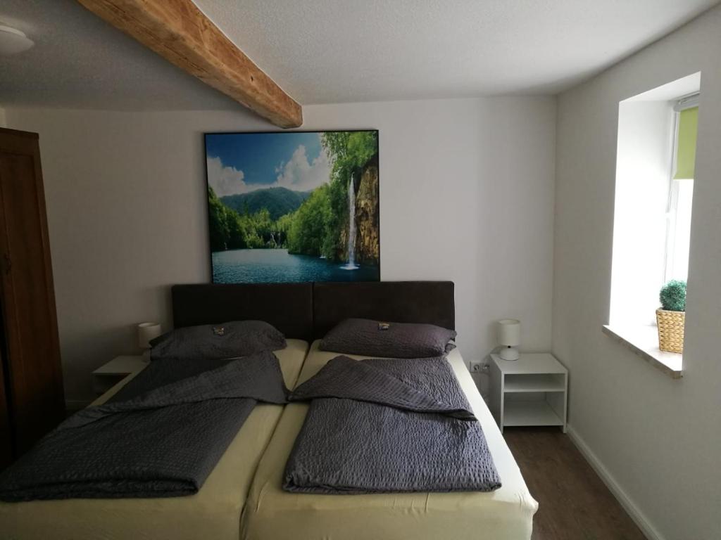 OberdorlaHainich的卧室配有一张挂在墙上的床铺