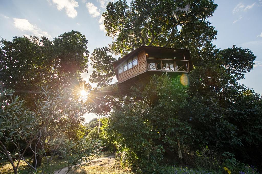 韦尔卡鲍Lendas do Capão Pousada的山丘上树屋,太阳在后面