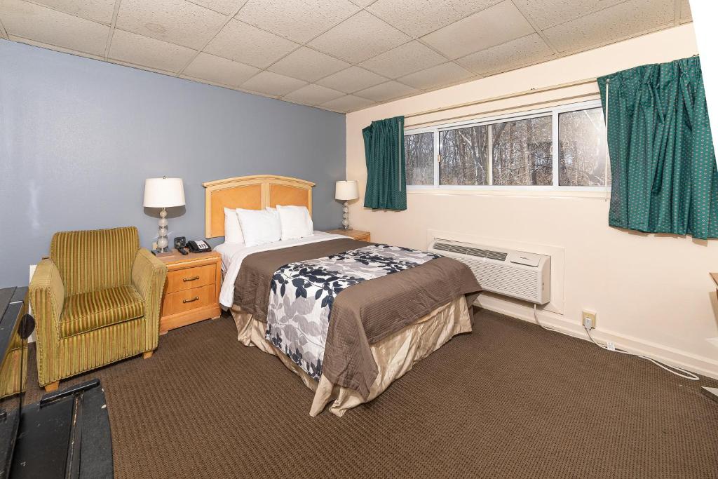 贝德福德贝德福德汽车旅馆的卧室配有床、椅子和窗户。