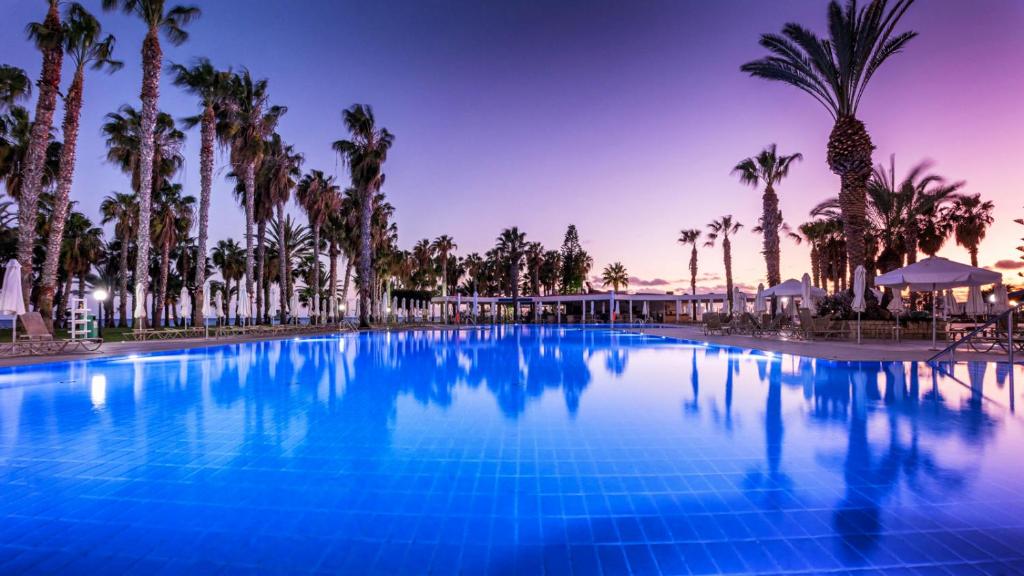 帕福斯Louis Phaethon Beach的一座棕榈树环绕的大型游泳池