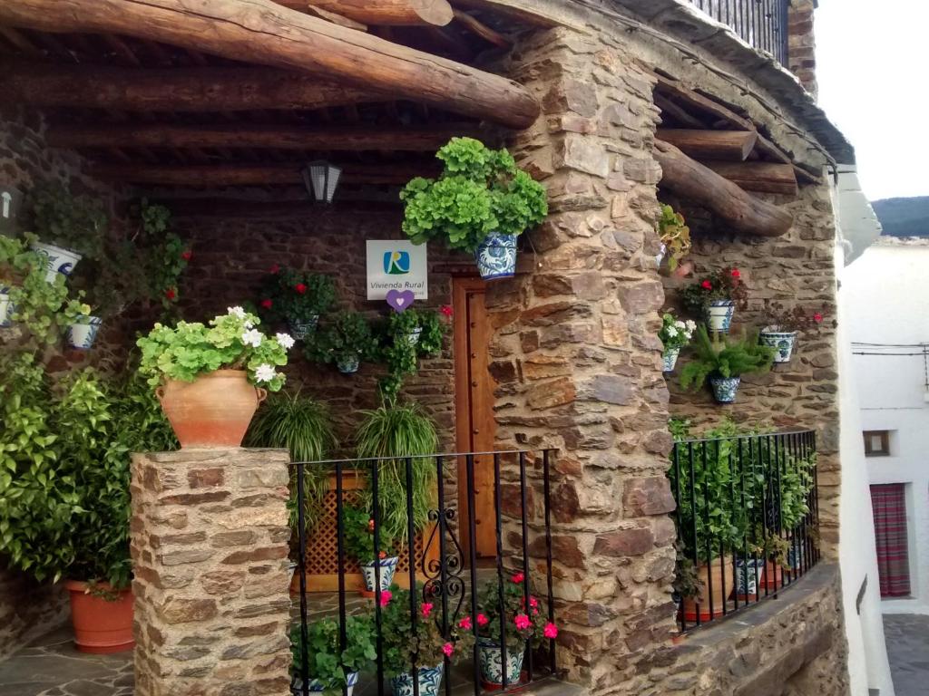 布维翁卡萨菲娜度假屋的一座石头建筑,有花草门