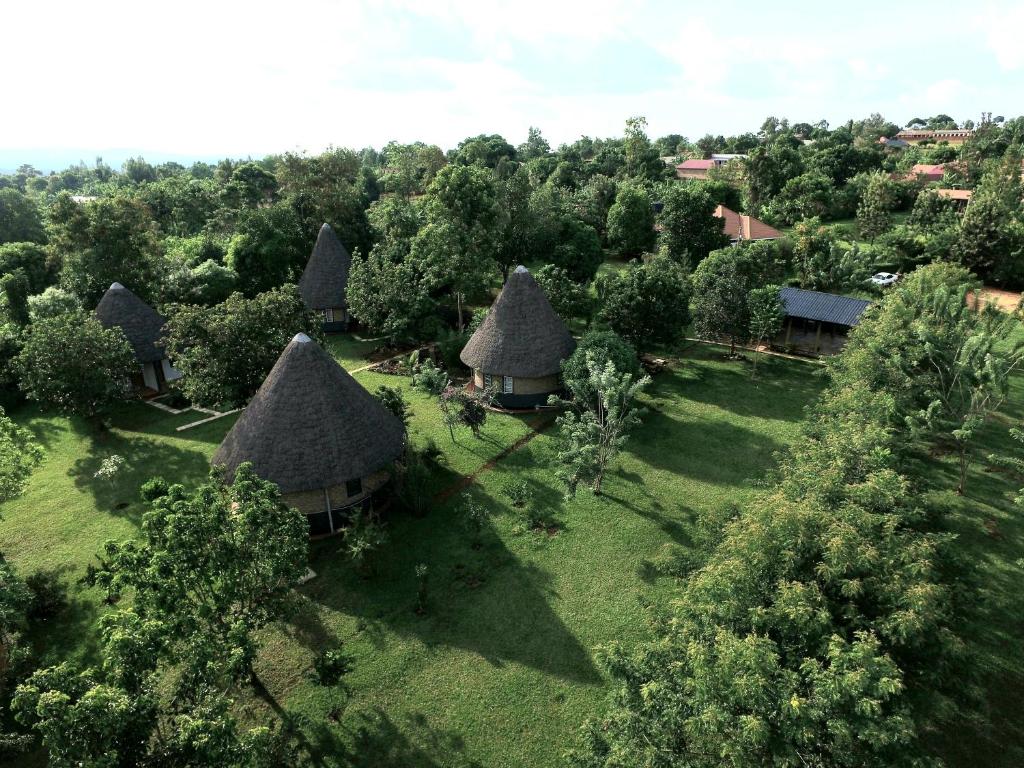 金贾Tusubira village的树屋的顶部景色