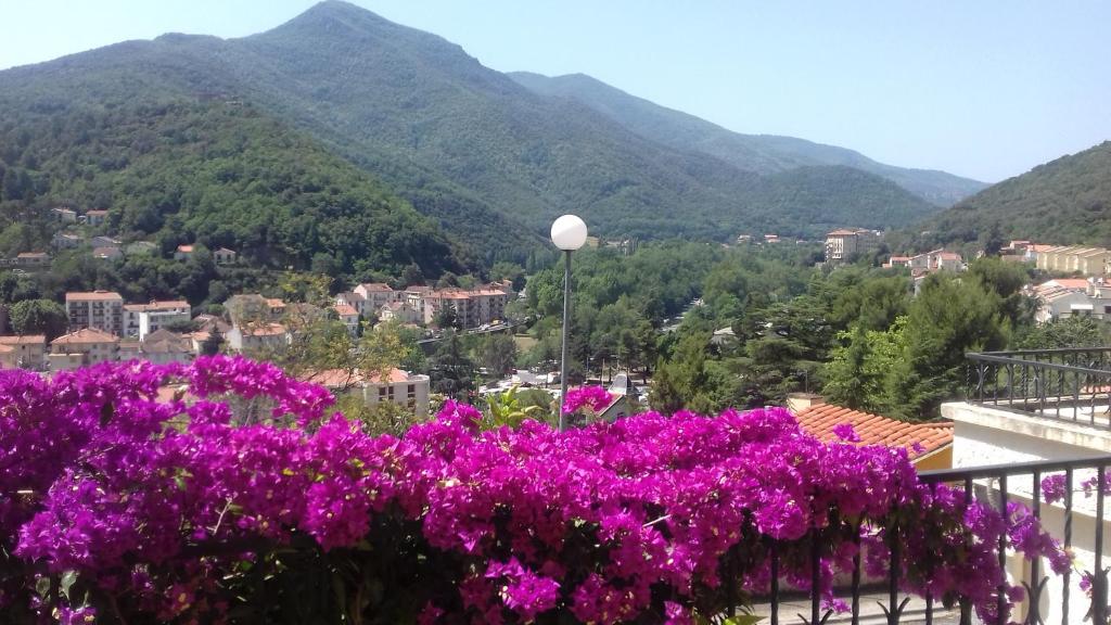 阿梅利莱班帕拉勒达T3 au calme au 2ème étage sans ascenseur vue sur les montagnes navette à proximité的阳台上的紫色花朵