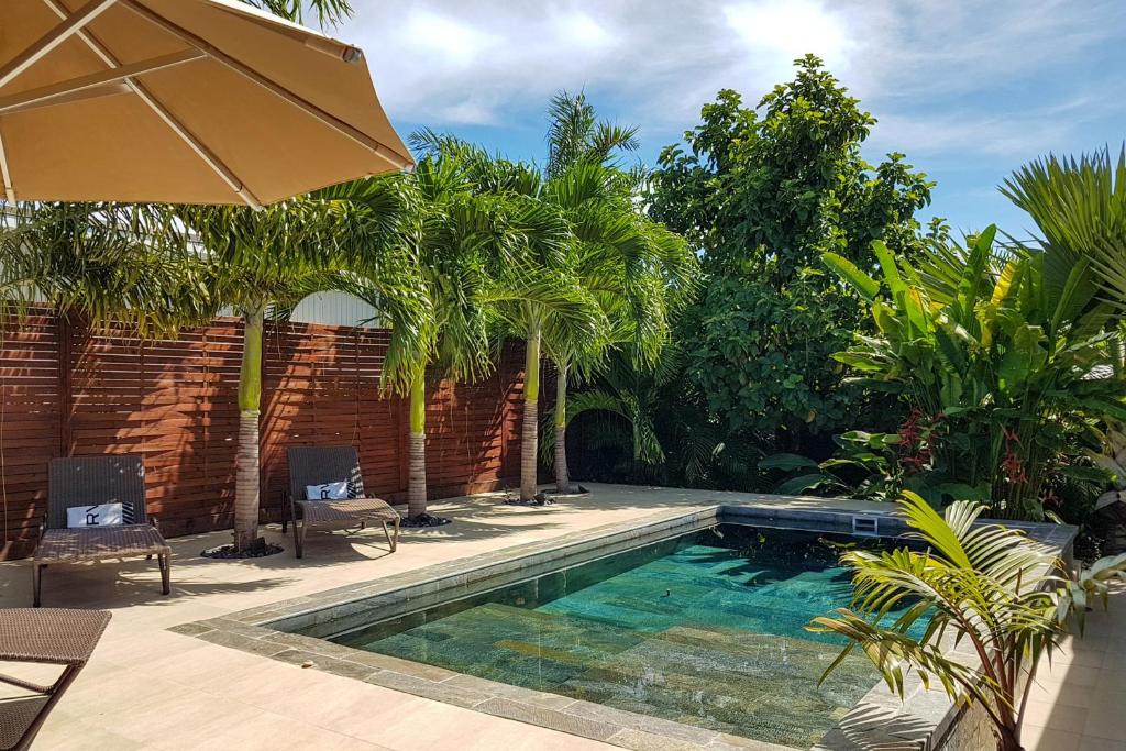帕皮提Villa Oasis的棕榈树庭院内的游泳池