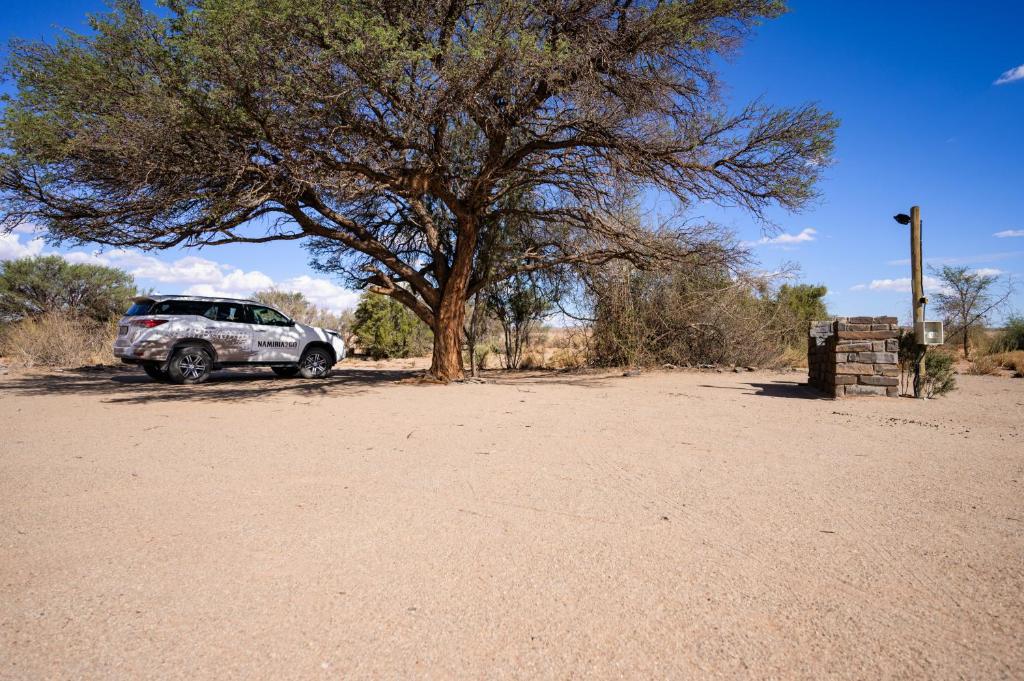 KarasburgCanyon Roadhouse Campsite的沙漠中停在树下的一个汽车