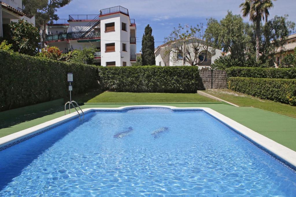 托里代巴拉AT044 Els Porxos的两个海豚在房子的游泳池游泳