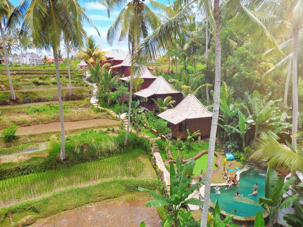 乌布君君甘套房酒店的享有度假村的空中景致,设有游泳池和棕榈树