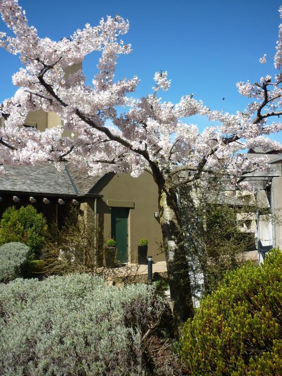 Rendezvous Heritage Hotel Queenstown外面的花园