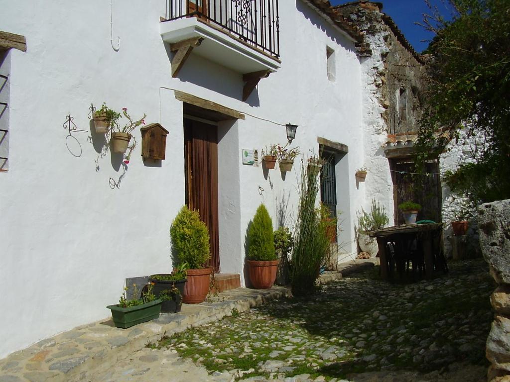 帕劳塔Casa El Menúo的白色的植物建筑和阳台