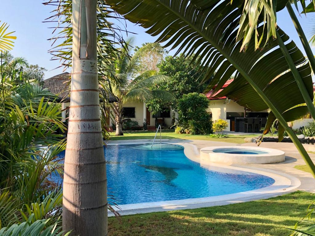 BanguedStrutz Art Garden Resort的棕榈树旁的棕榈树,带有棕榈树的游泳池