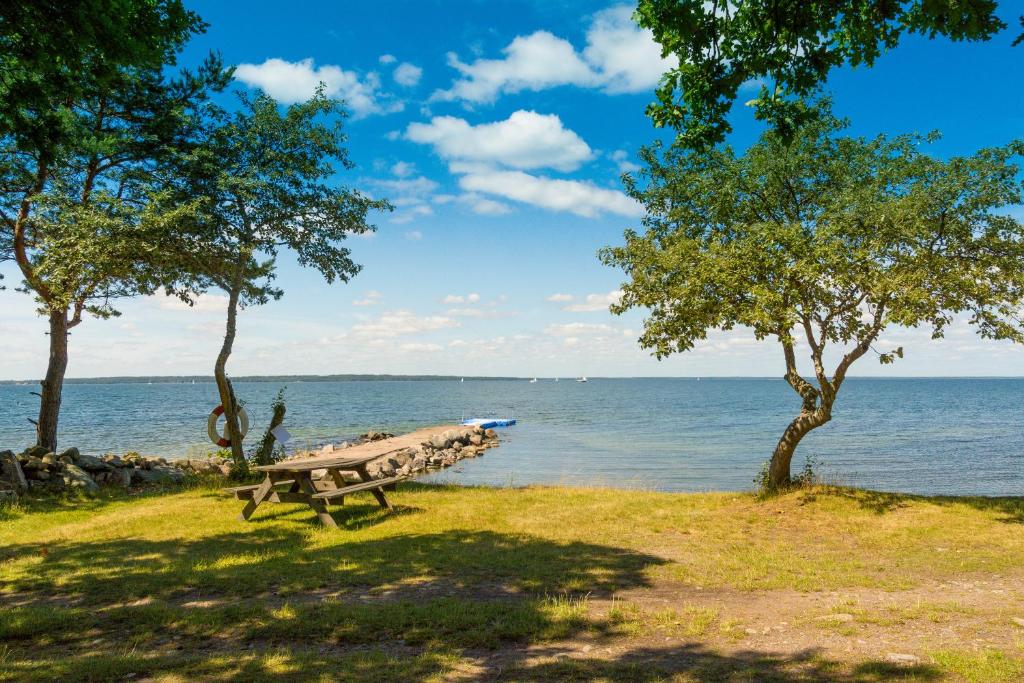 博里霍尔姆First Camp Ekerum - Öland的坐在水边的草地上的公园长凳