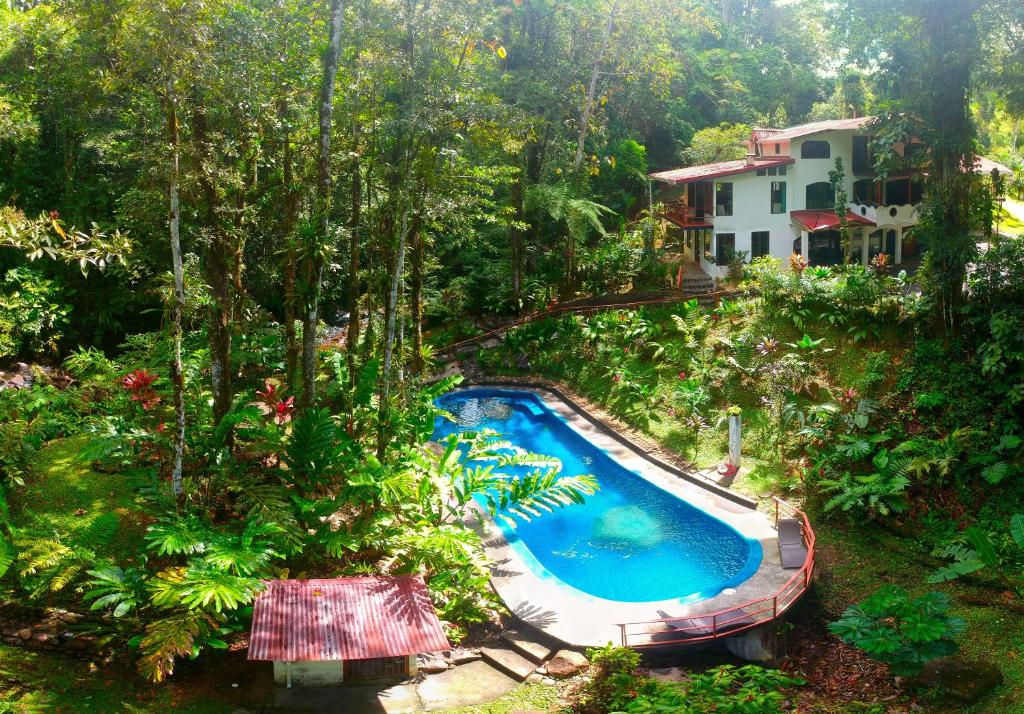 纽沃阿雷纳尔阿瓜酒店的花园游泳池的顶部景色