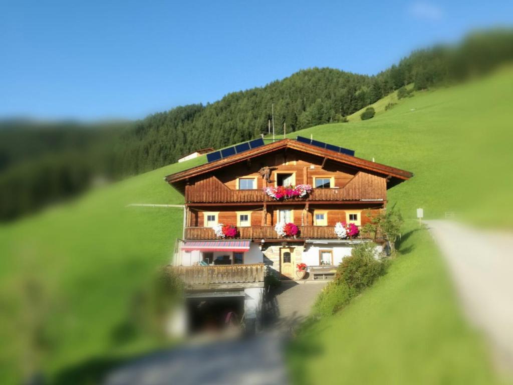 RohrbergRossruckhof的绿色山丘中间的房子