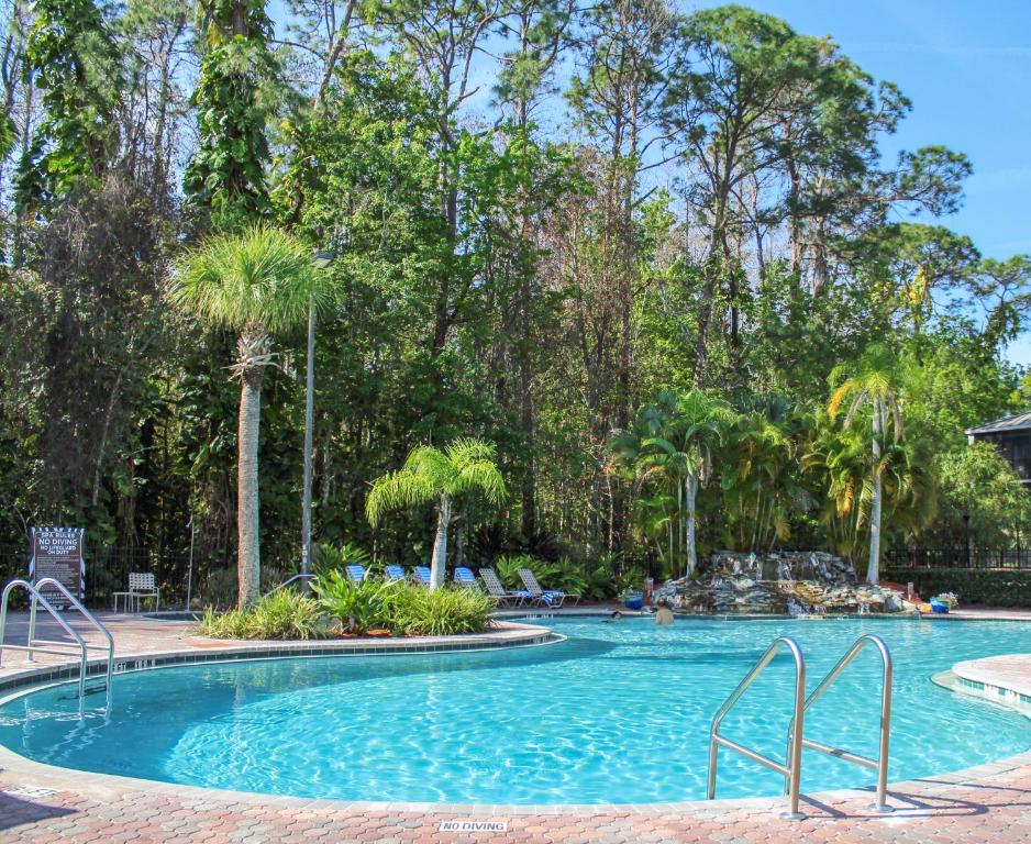 奥兰多公园道国际钻石庆祝场所度假酒店的一座树木环绕的大型游泳池