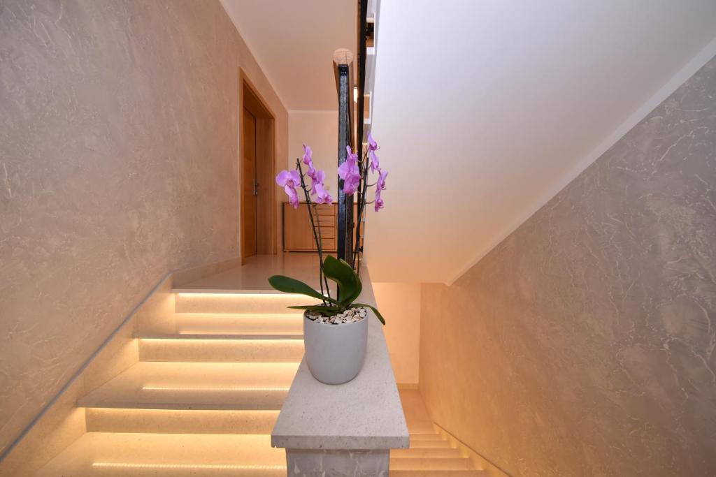 维尔APARTMANI PETRA的一条有白色花瓶的楼梯,里面装有紫色花朵