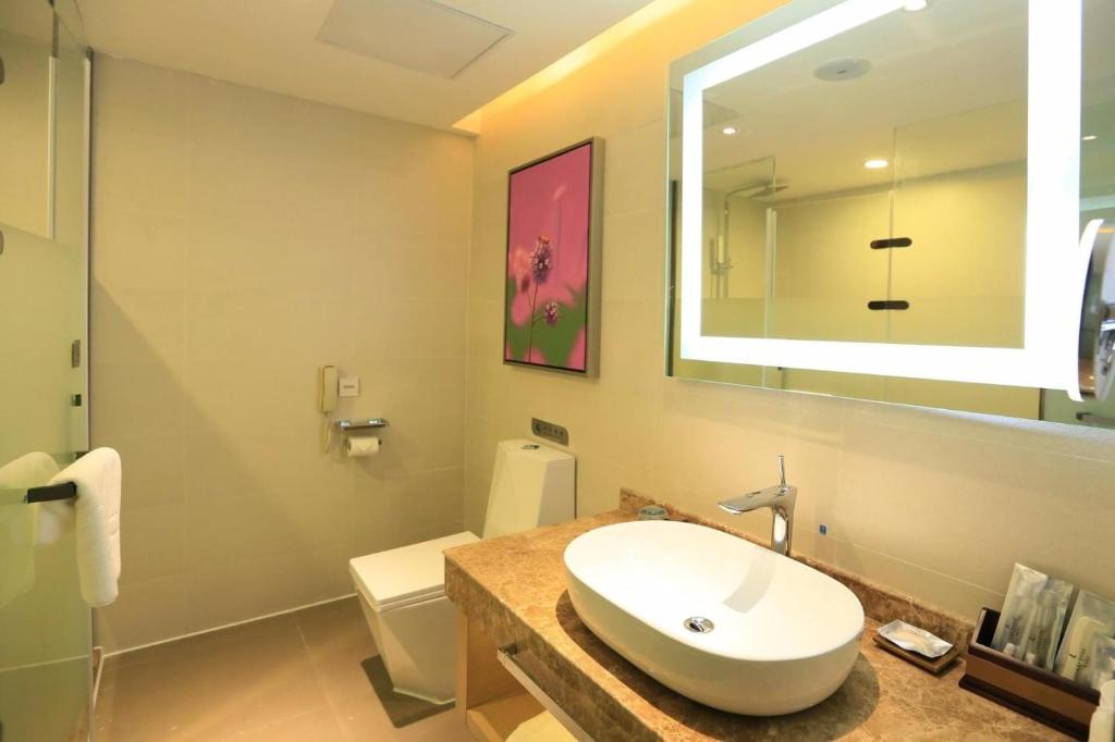 苏州麗枫酒店·苏州火车站店的一间带水槽、镜子和卫生间的浴室