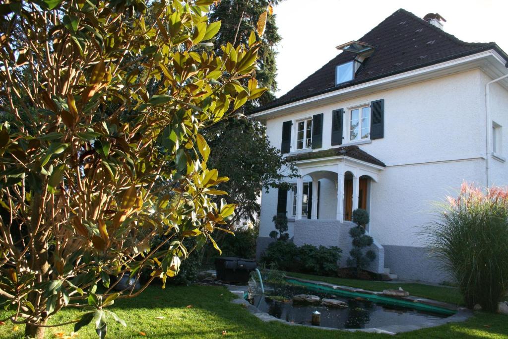 莱茵河畔威尔Gästehaus am Weiher的前面有一棵树的白色房子