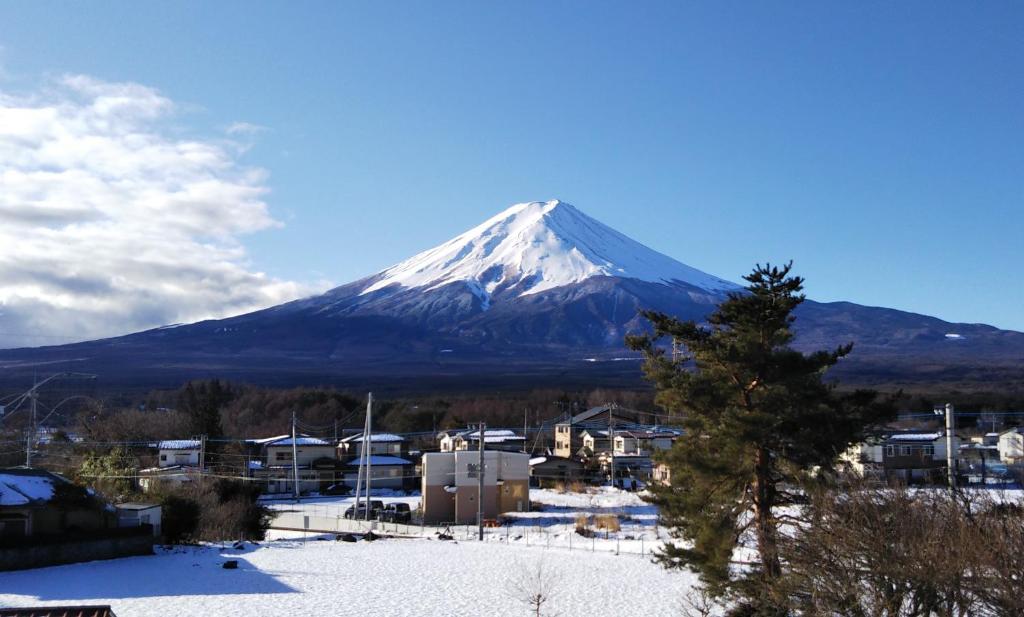 富士河口湖KAINOSATO的山地雪覆盖在有树的城镇前