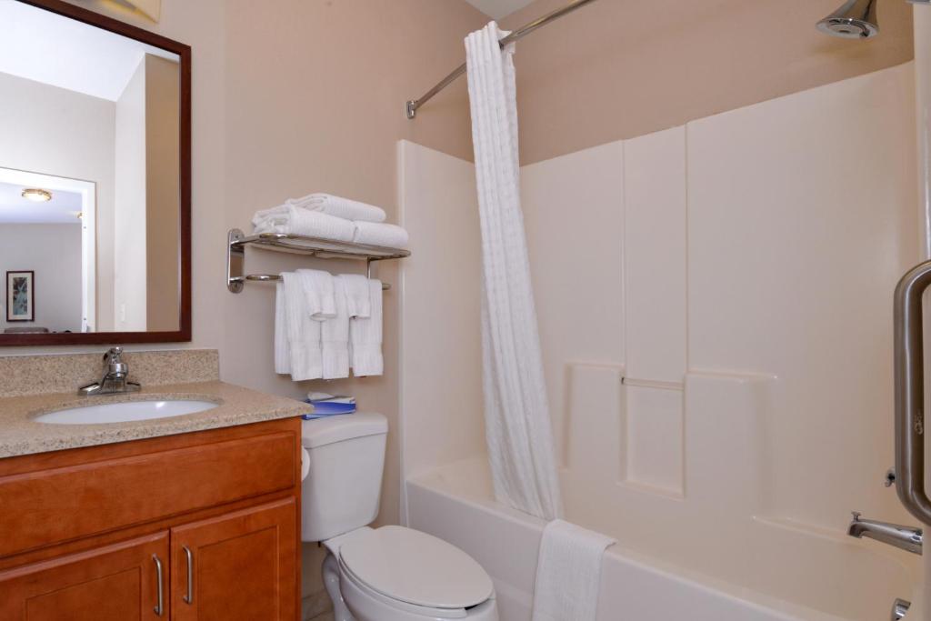 博伊西博伊西汤广场烛木套房酒店的浴室配有卫生间、盥洗盆和淋浴。