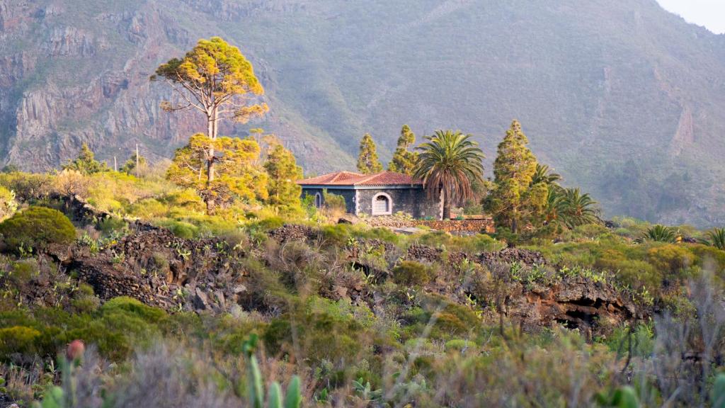 El RetamarLuxury villa in Nature with Swimming pool Luxus-Finca in der Natur mit pool, Finca de lujo en la naturaleza con piscina的山丘上的一个小房子