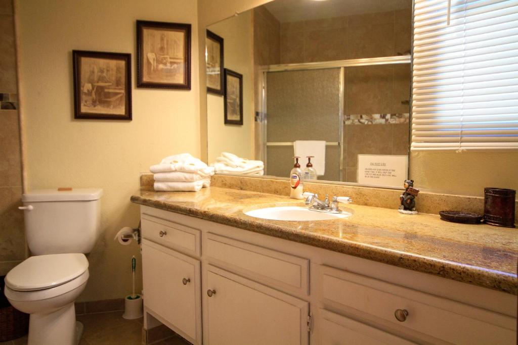 马姆莫斯湖Sierra Park Villas #88的一间带水槽、卫生间和镜子的浴室