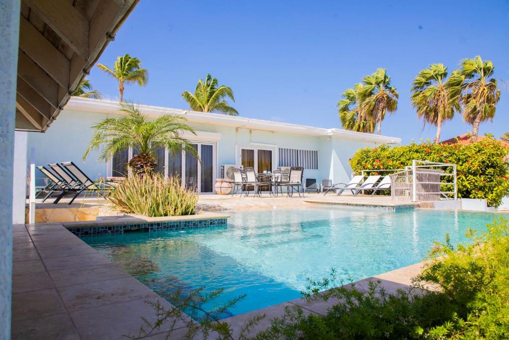 棕榈滩Malmok Ocean Front Villa的棕榈树屋前的游泳池