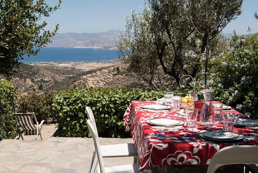 雷夫克斯Exquisite estate, serene environment的一张桌子上放着红白桌布