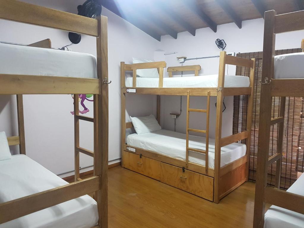麦德林紫猴旅舍的一间房间,设有三张双层床