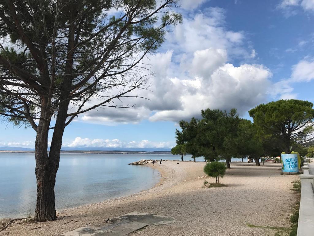 茨里克韦尼察Little villa Tony- Center 40m beach Crikvenica的一片种满树木和水的沙滩