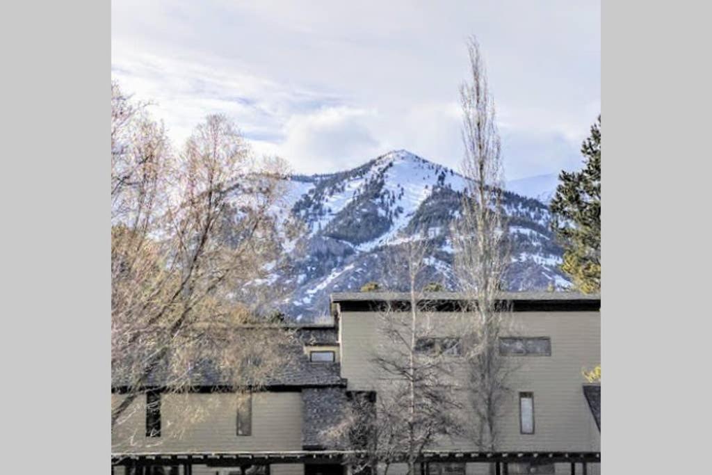 威尔森Spectacular Mountain Condo的一座房子前面的雪覆盖的山