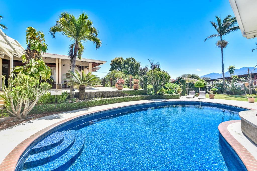 San Antonio里维埃拉酒店的棕榈树屋前的游泳池