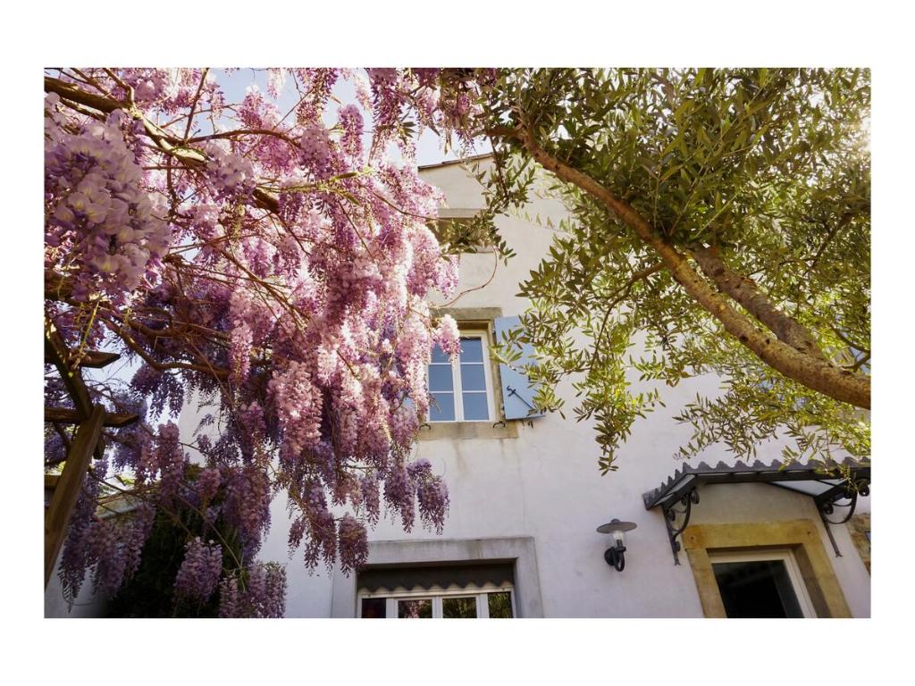 CournanelLa Bastide Saint Etienne的一座建筑物前有粉红色花的树