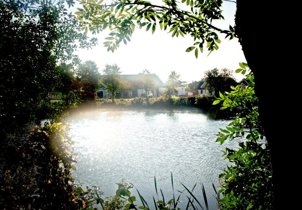 Sankt IbbSpirit of Hven Backafallsbyn的享有树木池塘的景色
