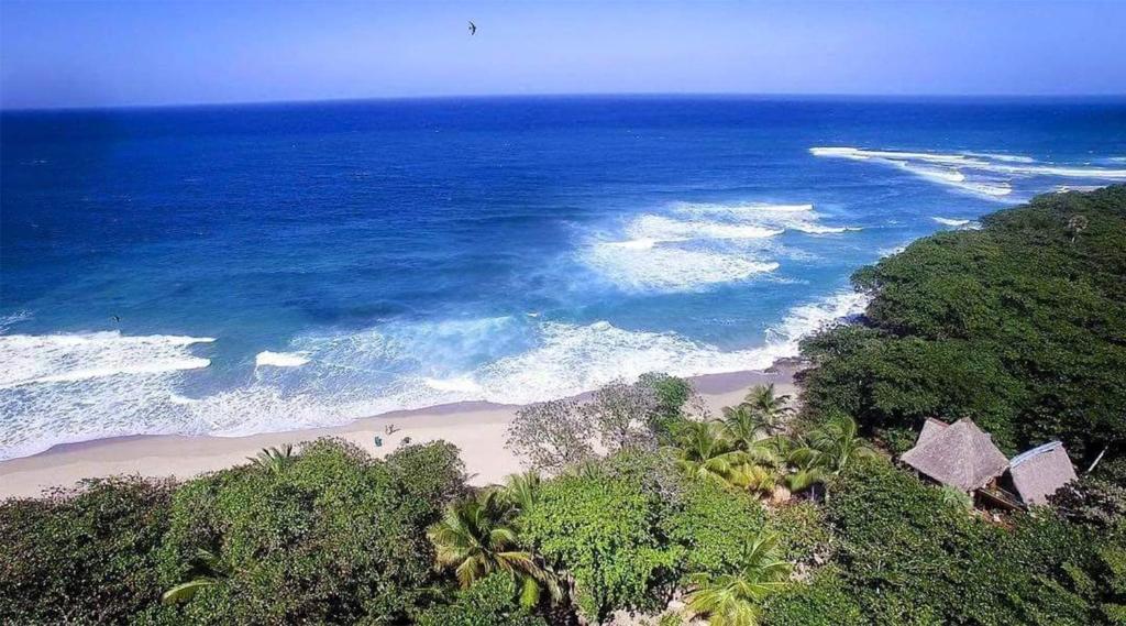 喀巴里特Cabarete Maravilla Eco Lodge Boutique Beach Surf, Kite, Yoga的享有树木繁茂的海滩和海洋的空中景致