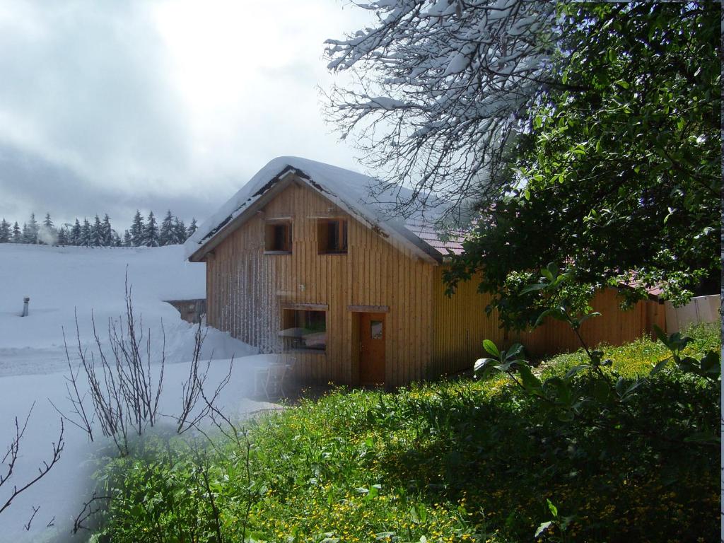 蓬塔利耶Gite du Brin d'Herbe的雪中木屋,地面上积雪