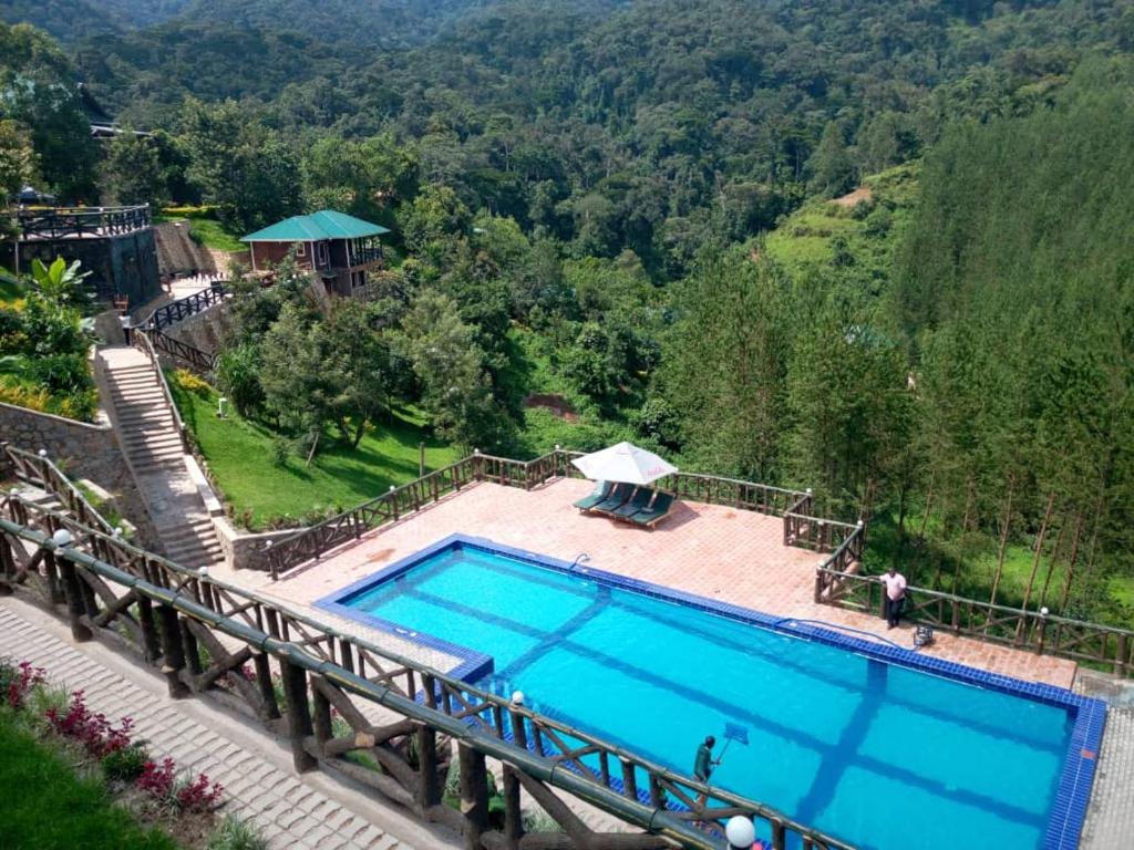 BugambiraRushaga Gorilla Lodge的享有度假村游泳池的顶部景致