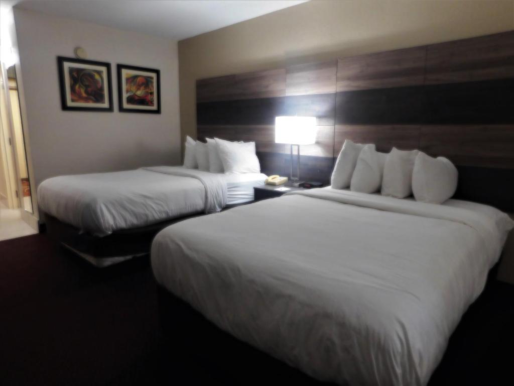 温斯顿·塞勒姆Americas Best Value Inn Winston-Salem的酒店客房,设有两张床和一盏灯