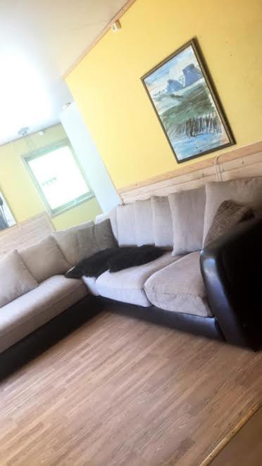 拉克塞尔夫Saarela Gård的客厅的沙发上躺着狗