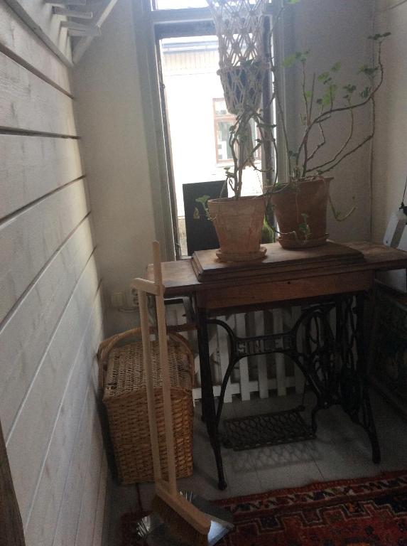 图尔库Pastella的窗户房间里的小桌子