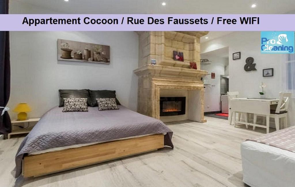 波尔多Appart Cozy / Quartier St Pierre的一间卧室配有一张床和一个壁炉
