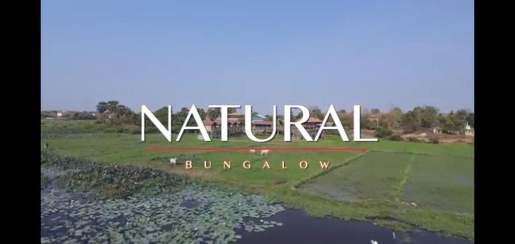 磅湛Natural bungalows的球场的景象,球场的尼里拉尔锦标赛被打断