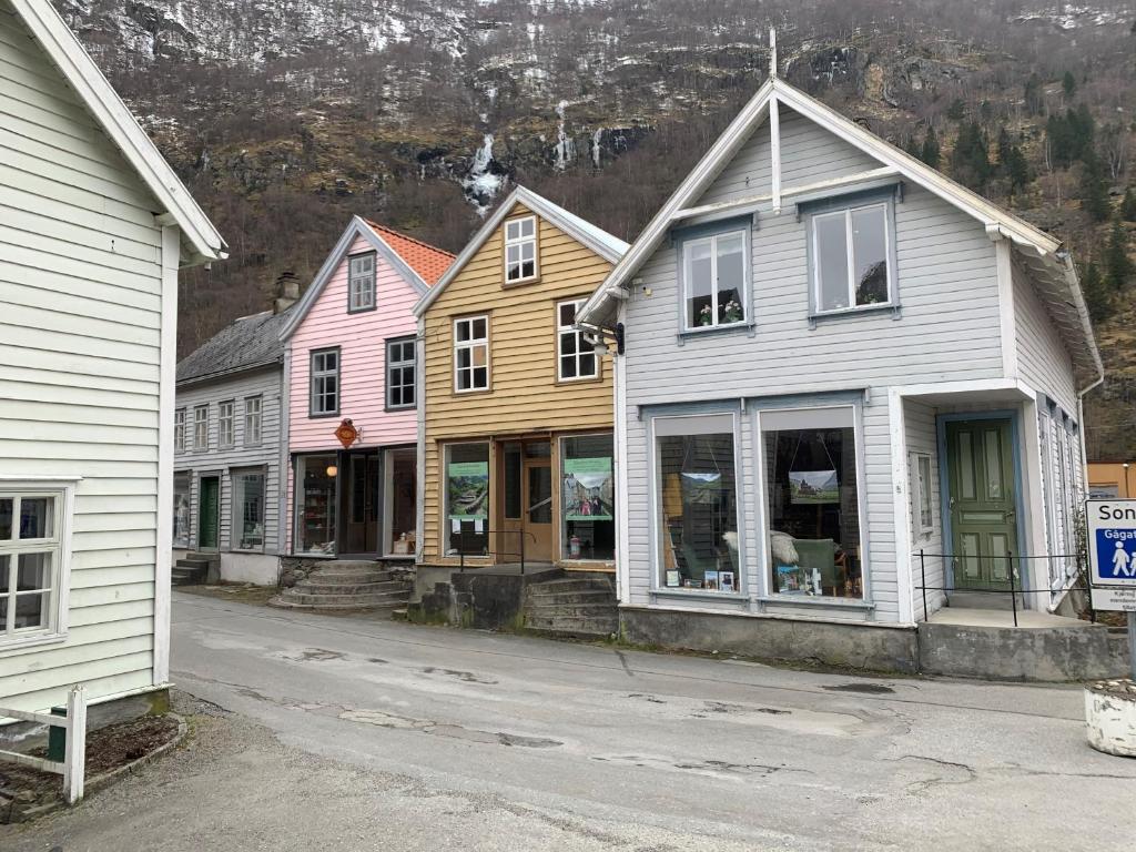 莱达尔绥里Old town boutiqe apartments/ Gamle Lærdalsøyri boutique leiligheter的街道旁的一排房子