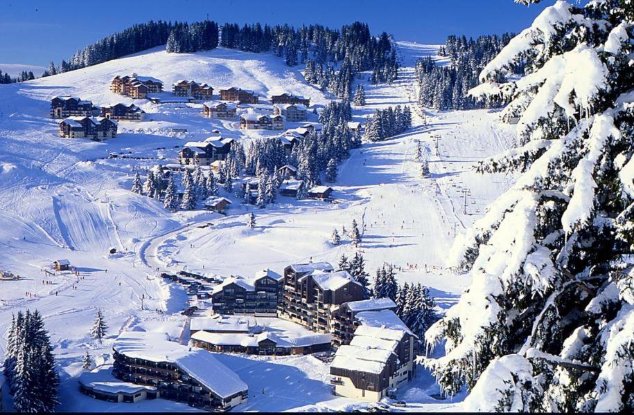 马尼戈Le lodge by Lilou的雪覆盖的山地滑雪小屋