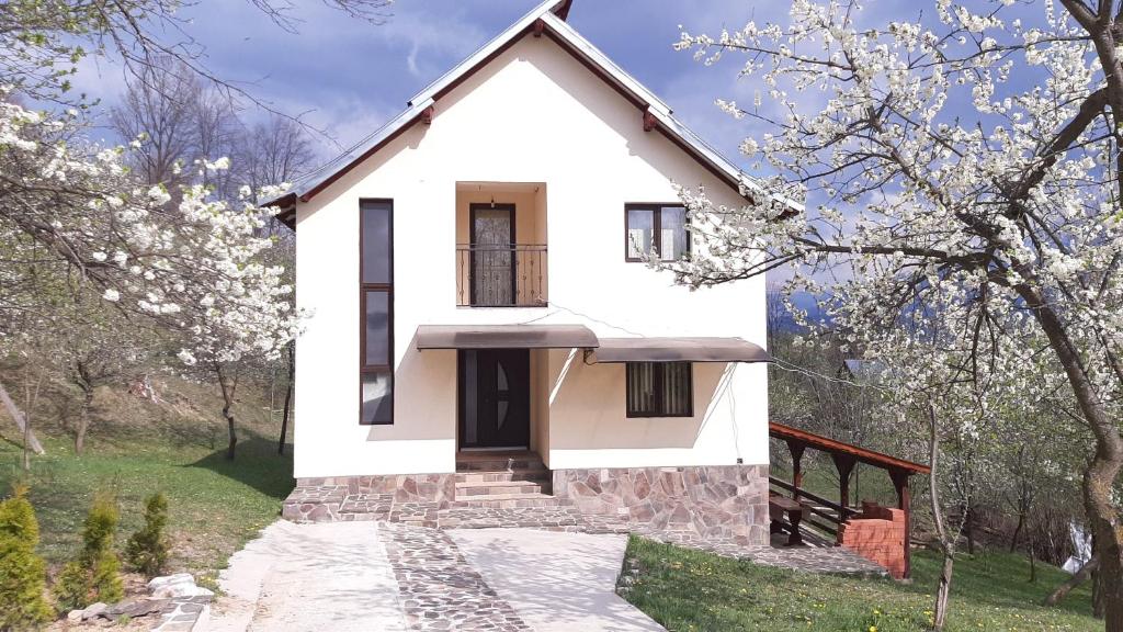 莫伊塞Casa Fluțar的白色的房子,有门和树木