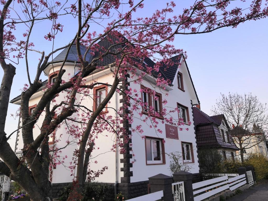 HöpfingenVilla Kopp-Das Gästehaus的粉红色和白色的房子,有树