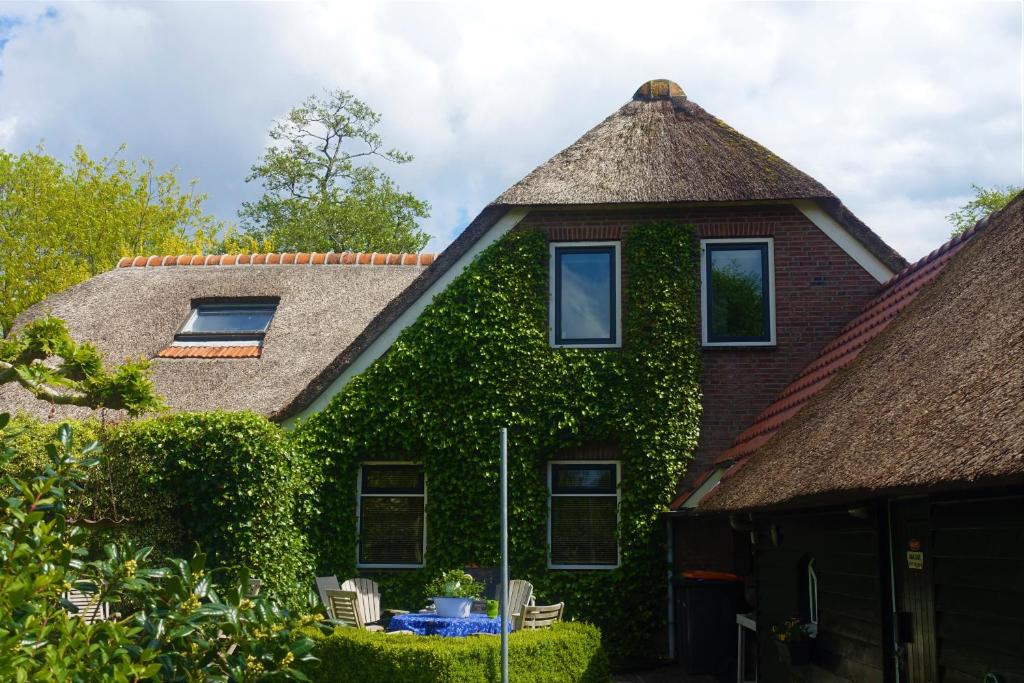 羊角村De Aardigeyt的常春藤覆盖的屋顶房屋